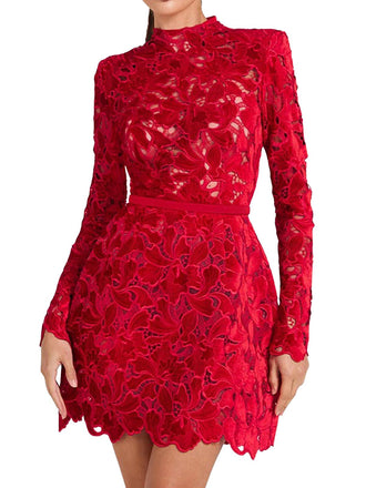 Abito a collo alto in pizzo floreale floccato anni '60