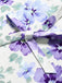 Lavanda