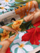 2PCS Top corta e gonna a tubino da donna retrò anni '60