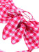 Costumi a sbuffo con plaid cava rosso anni '50