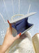 Hand holding a silver clutch with pearl handle against a light blue background