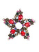 Spilla di strass con stella di Natale retrò
