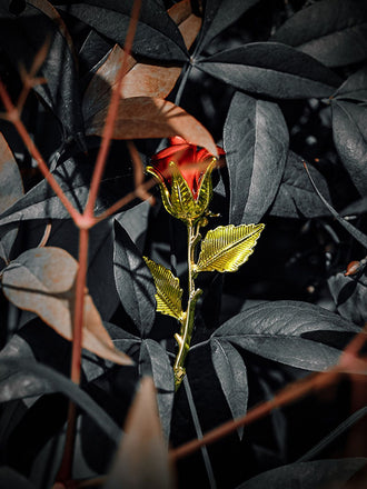 Spilla con rosa dipinta di rosso dorato
